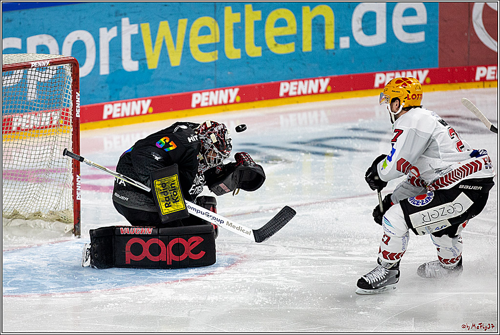 PENNY DEL;  Koelner Haie - Fischtown Pinguins Bremerhaven; Koeln, 17.01.2021